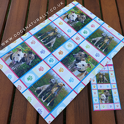 Greyhound & Lurcher Wrapping Paper (Twin Pack)
